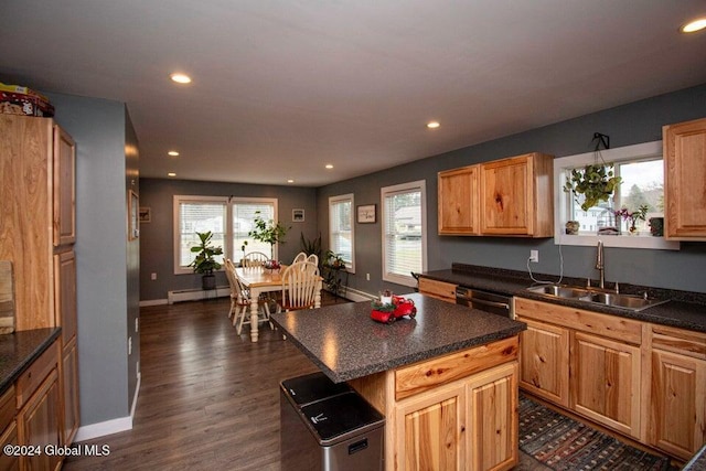 kitchen featuring dishwasher, dark hardwood / wood-style flooring, a baseboard radiator, and sink