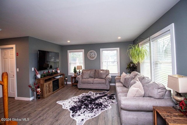 living room featuring dark hardwood / wood-style flooring