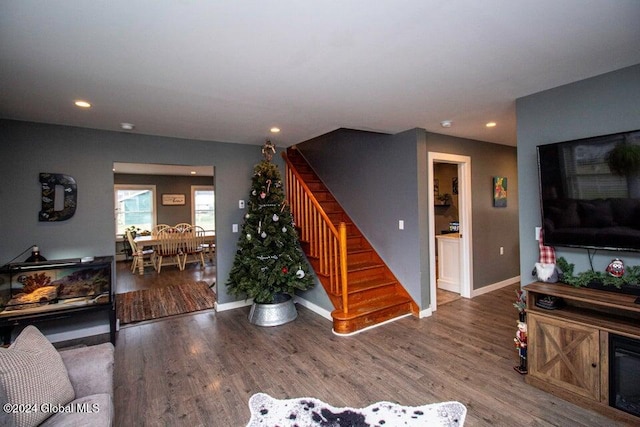 living room with wood-type flooring