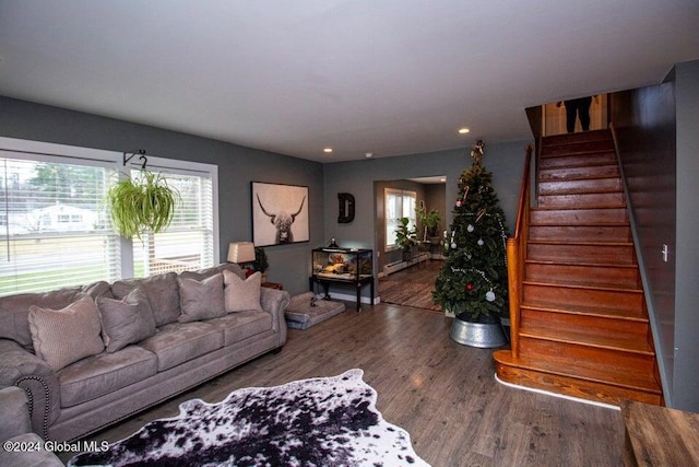 living room with wood-type flooring