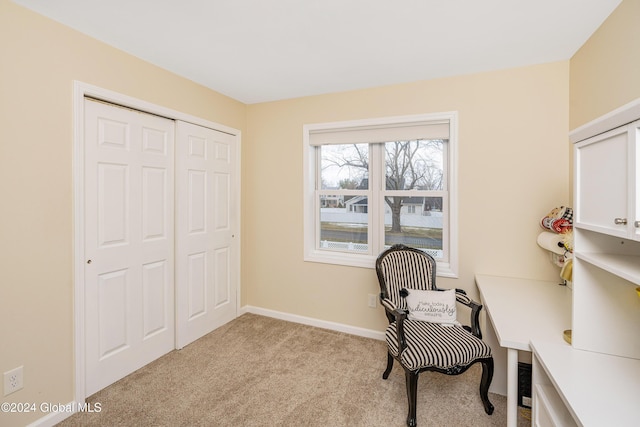 home office with light carpet