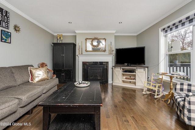 living room featuring dark hardwood / wood-style floors and crown molding