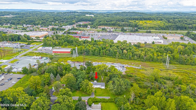 bird's eye view