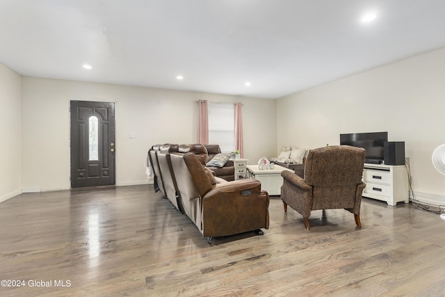 living room with a healthy amount of sunlight and hardwood / wood-style flooring