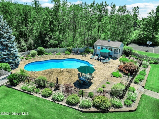 view of pool featuring a patio