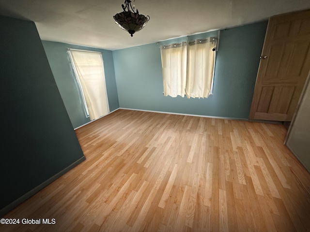 empty room featuring a wealth of natural light and light hardwood / wood-style flooring