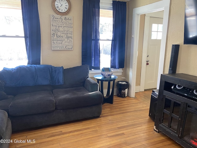 living room with light hardwood / wood-style floors