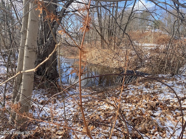 view of snow covered land