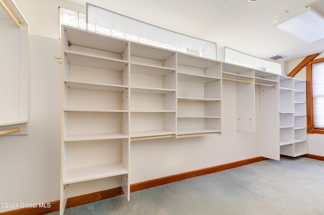 spacious closet with carpet flooring