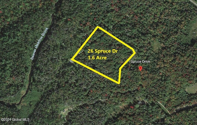 26 Spruce Dr, Indian Lake NY, 12842 land for sale