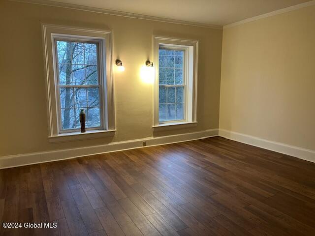 unfurnished room featuring dark hardwood / wood-style flooring and crown molding