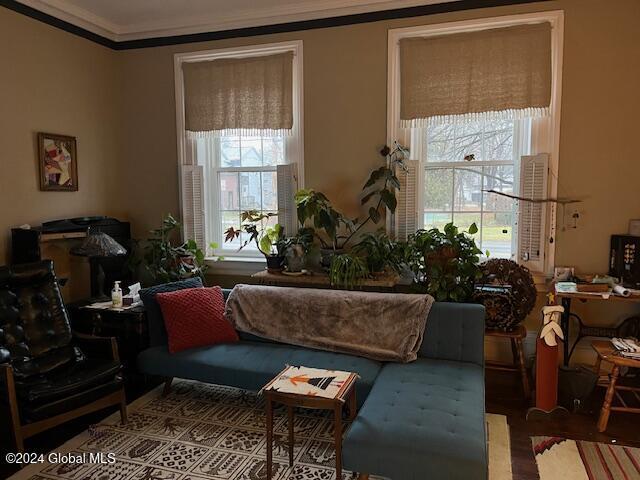 living room with ornamental molding