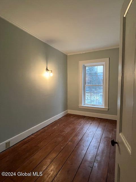 empty room featuring dark hardwood / wood-style floors and crown molding