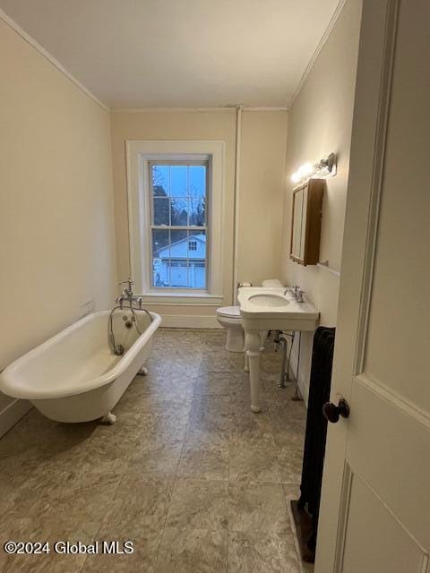 bathroom featuring crown molding, a bathtub, and toilet