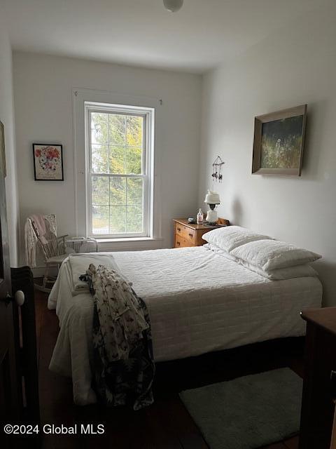 bedroom featuring wood-type flooring