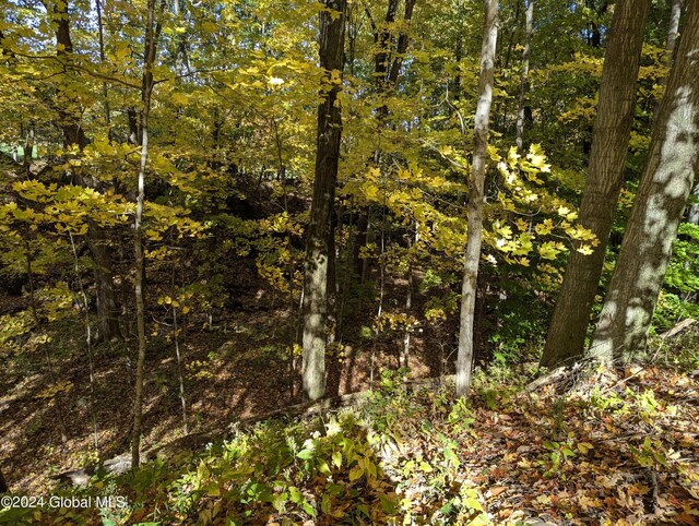 324 W Glenville Rd, Glenville, NY 12302 - photo 16
