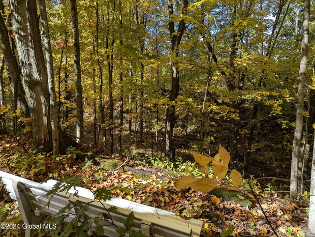 324 W Glenville Rd, Glenville, NY 12302 - photo 17