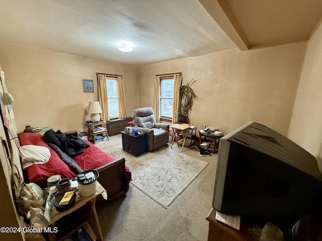 sitting room featuring carpet floors