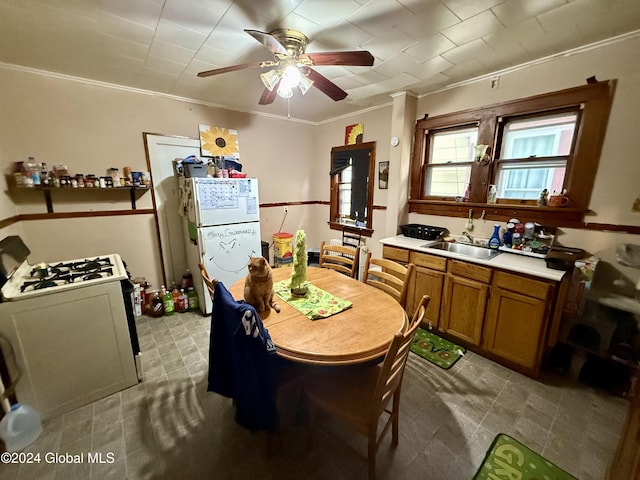 kitchen featuring ceiling fan, sink, white appliances, and ornamental molding