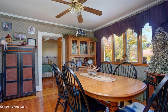 dining room with ceiling fan, crown molding, and light hardwood / wood-style flooring