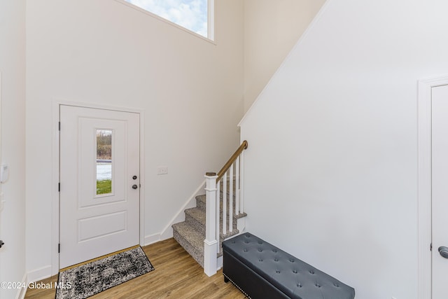 foyer with a high ceiling and light wood-type flooring