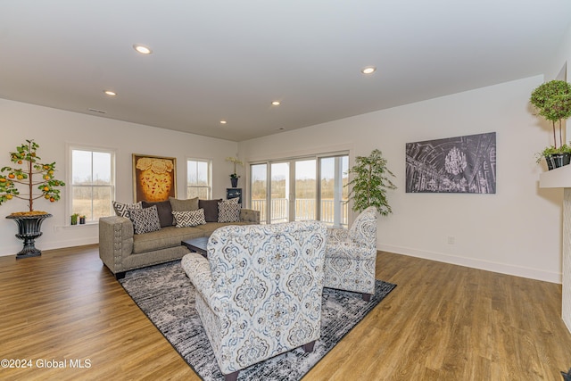living room featuring wood-type flooring