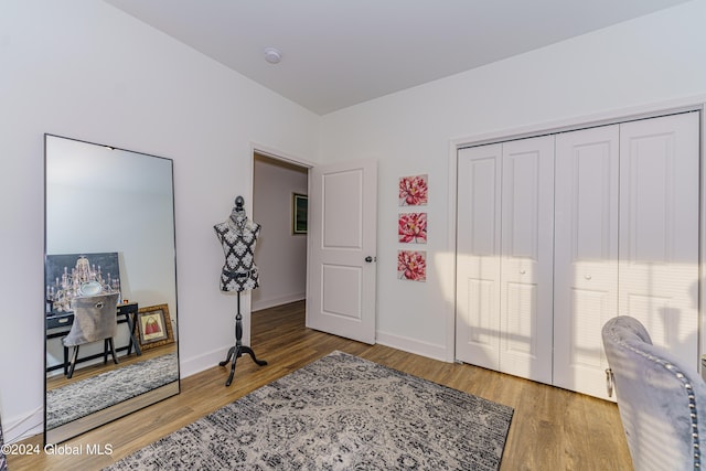 interior space featuring wood-type flooring