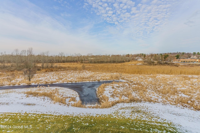 view of yard covered in snow