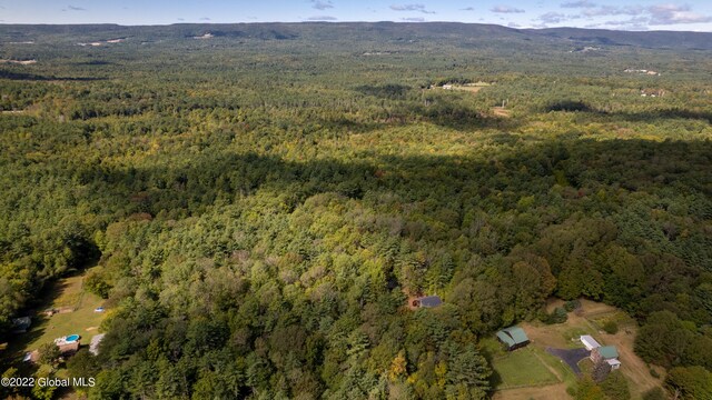 aerial view with a mountain view