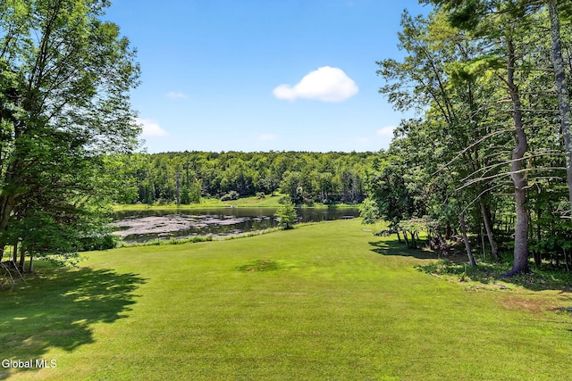 131 Dederich Rd, Durham, NY 12423 - photo 46