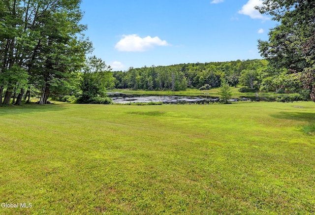 131 Dederich Rd, Durham, NY 12423 - photo 47