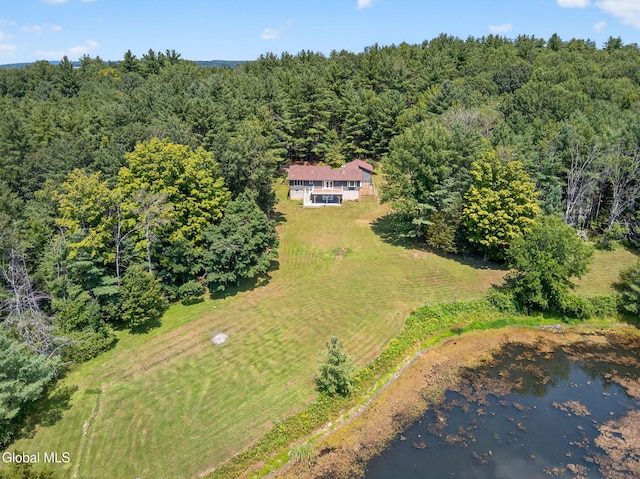 131 Dederich Rd, Durham, NY 12423 - photo 53