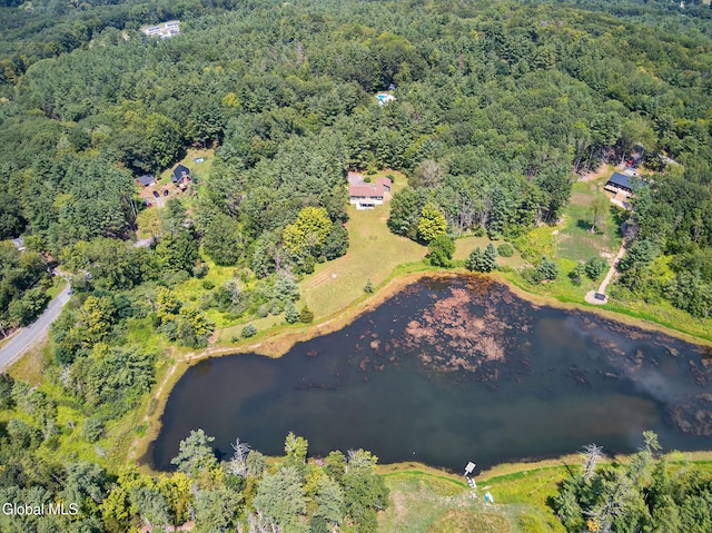 131 Dederich Rd, Durham, NY 12423 - photo 54