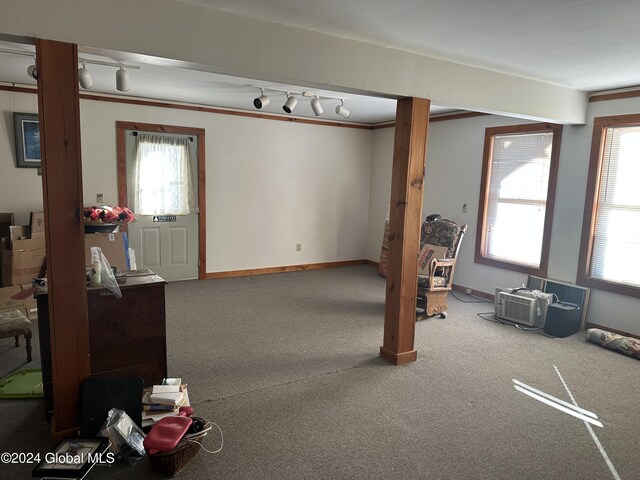 interior space with rail lighting, carpet, baseboards, and ornamental molding