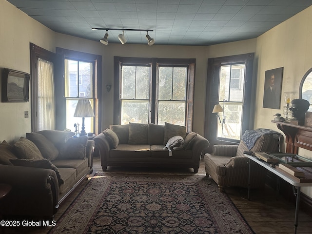 living area with plenty of natural light and wood finished floors