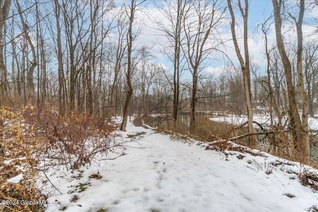 view of snowy landscape