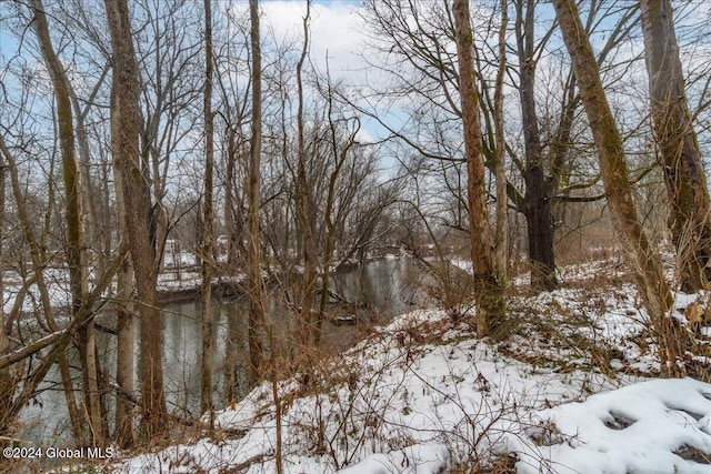 view of snow covered land