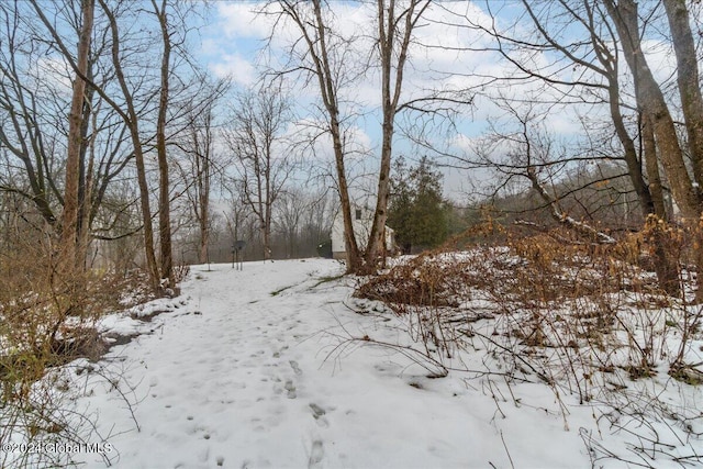 view of snowy landscape