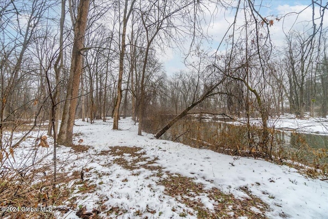 view of yard layered in snow