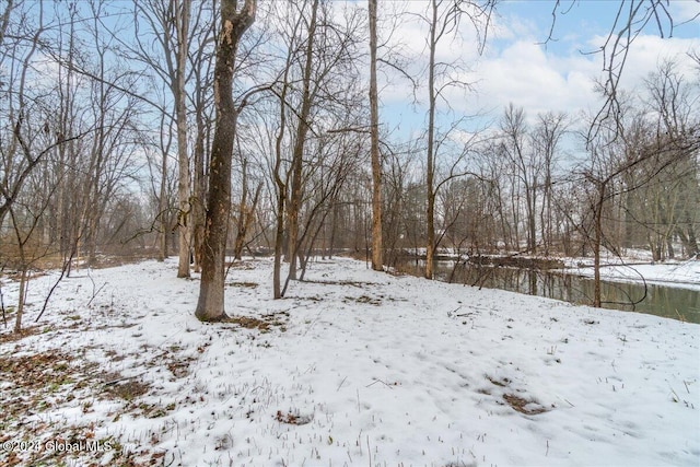 view of yard layered in snow