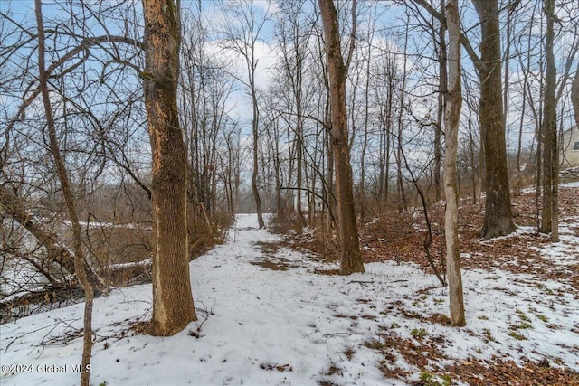 view of snow covered land