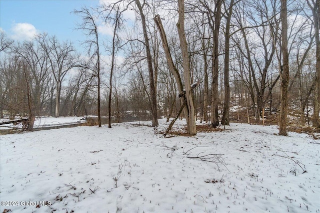 view of snowy yard