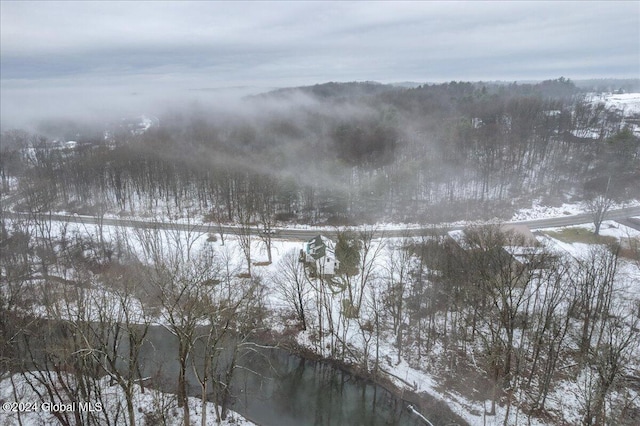 view of snowy aerial view