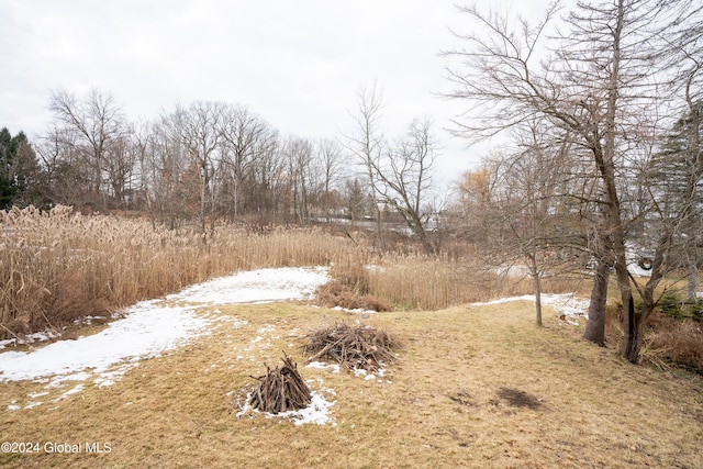 view of yard covered in snow