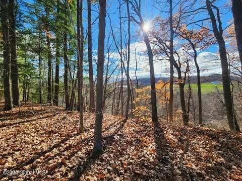 view of local wilderness