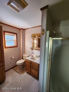 bathroom with vanity, toilet, and a shower with shower door