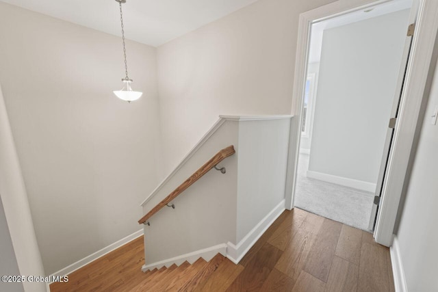 staircase with hardwood / wood-style floors