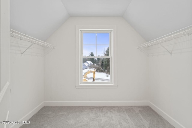 spacious closet with lofted ceiling and carpet floors