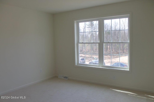 carpeted empty room with a healthy amount of sunlight