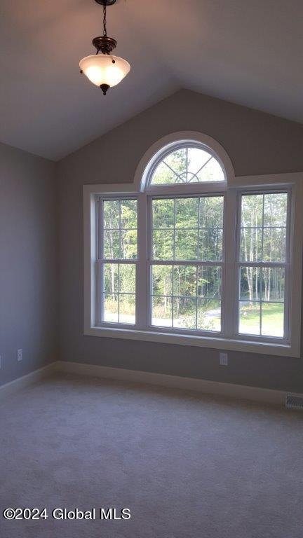 carpeted spare room featuring vaulted ceiling